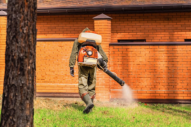 Bed Bug Clearance Verification and Documentation in Heidelberg
